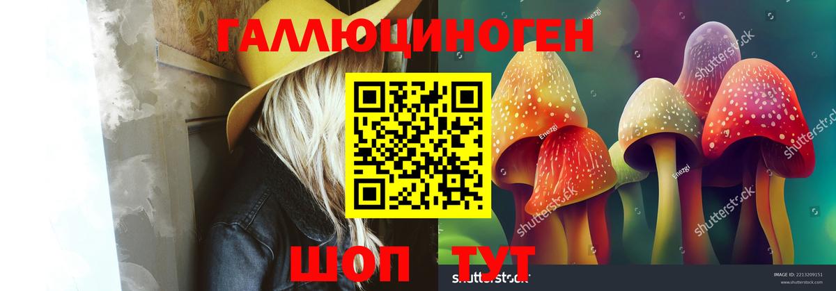 Старая Купавна  Галлюциногенные грибы MAGIC MUSHROOMS  Вход с VPN  Галлюциногенные грибы ЛСД 